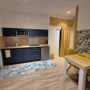 superbe studio proche centre